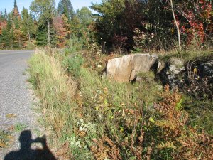 IMG_5310.JPG