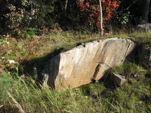 IMG_5313.JPG