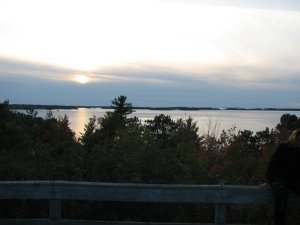 IMG_5322.JPG