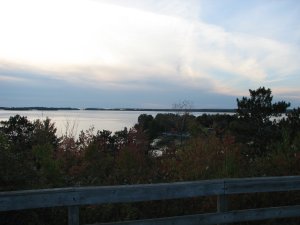 IMG_5324.JPG