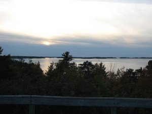 IMG_5325.JPG