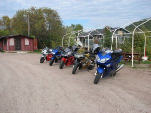 IMG_5379.JPG