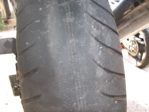 IMG_5396.JPG