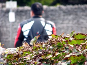 img_5657.jpg
