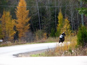 img_5933.jpg