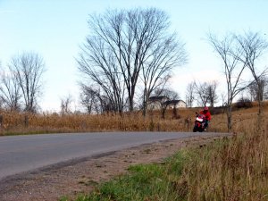 img_5961.jpg