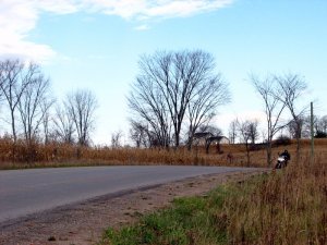 img_5966.jpg