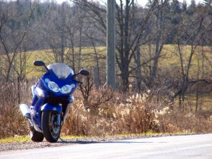 img_6163.jpg