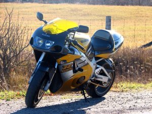img_6185.jpg