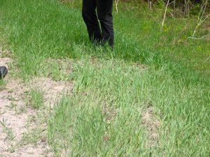 img_0048.jpg