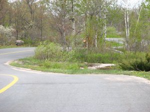 img_0059.jpg