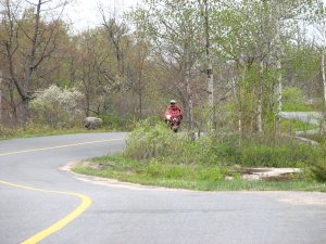 img_0060.jpg