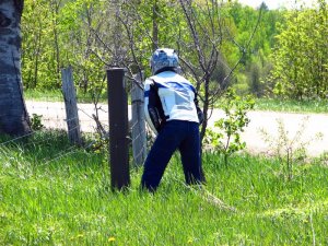 img_0245.jpg
