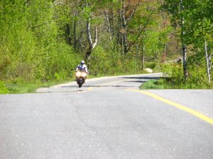 img_0262.jpg