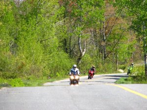 img_0265.jpg