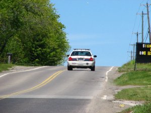 img_0341.jpg