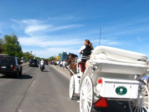 img_0352.jpg