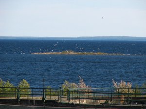 IMG_0426.JPG