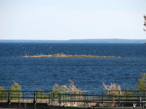 IMG_0427.JPG