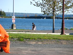 IMG_0433.JPG