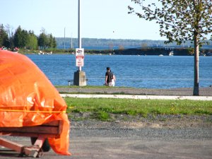 IMG_0434.JPG