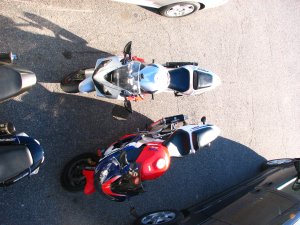 IMG_0445.JPG