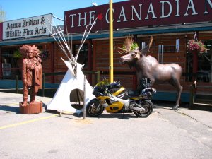 IMG_0526.JPG