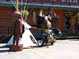 IMG_0530.JPG