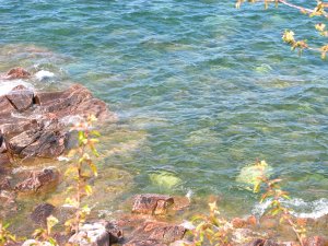 IMG_0542.JPG