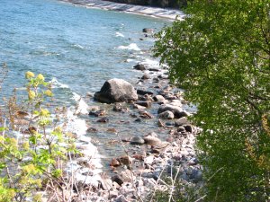 IMG_0543.JPG