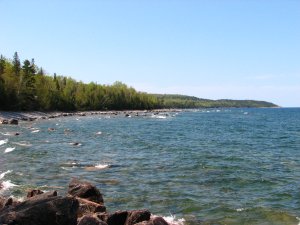 IMG_0559.JPG