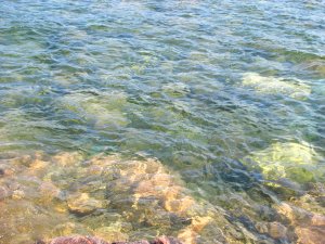 IMG_0560.JPG
