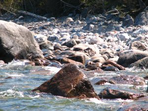 IMG_0567.JPG