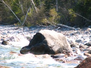IMG_0568.JPG
