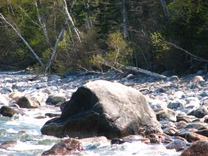 IMG_0569.JPG