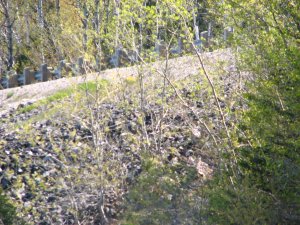 IMG_0570.JPG