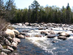 IMG_0594.JPG