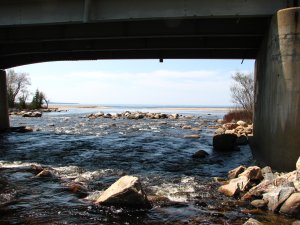 IMG_0595.JPG