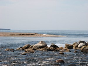 IMG_0596.JPG