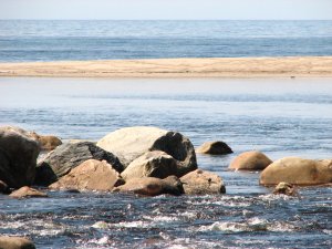 IMG_0597.JPG