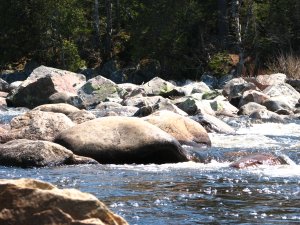 IMG_0598.JPG