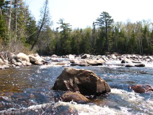IMG_0599.JPG