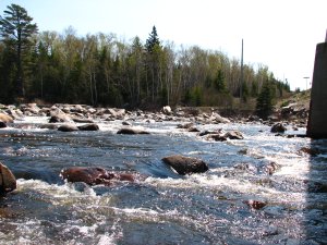 IMG_0600.JPG