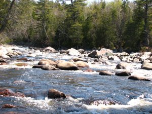 IMG_0601.JPG