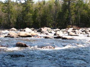 IMG_0602.JPG