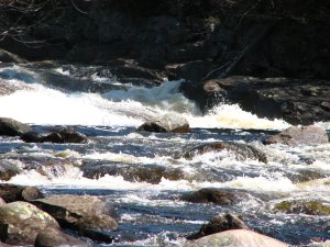 IMG_0603.JPG
