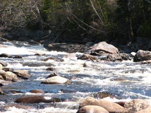 IMG_0604.JPG