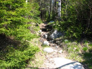 IMG_0606.JPG