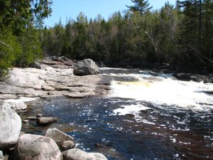 IMG_0607.JPG