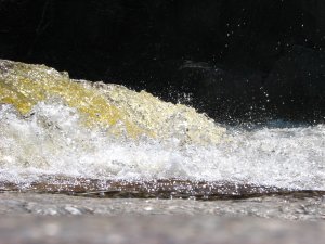 IMG_0608.JPG